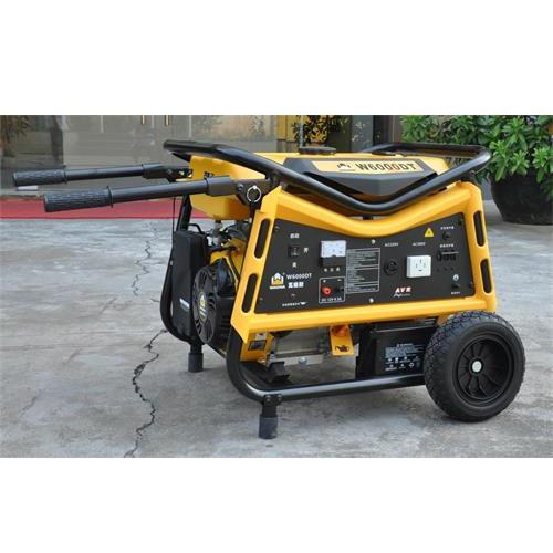 W6000 gasoline generator.jpg